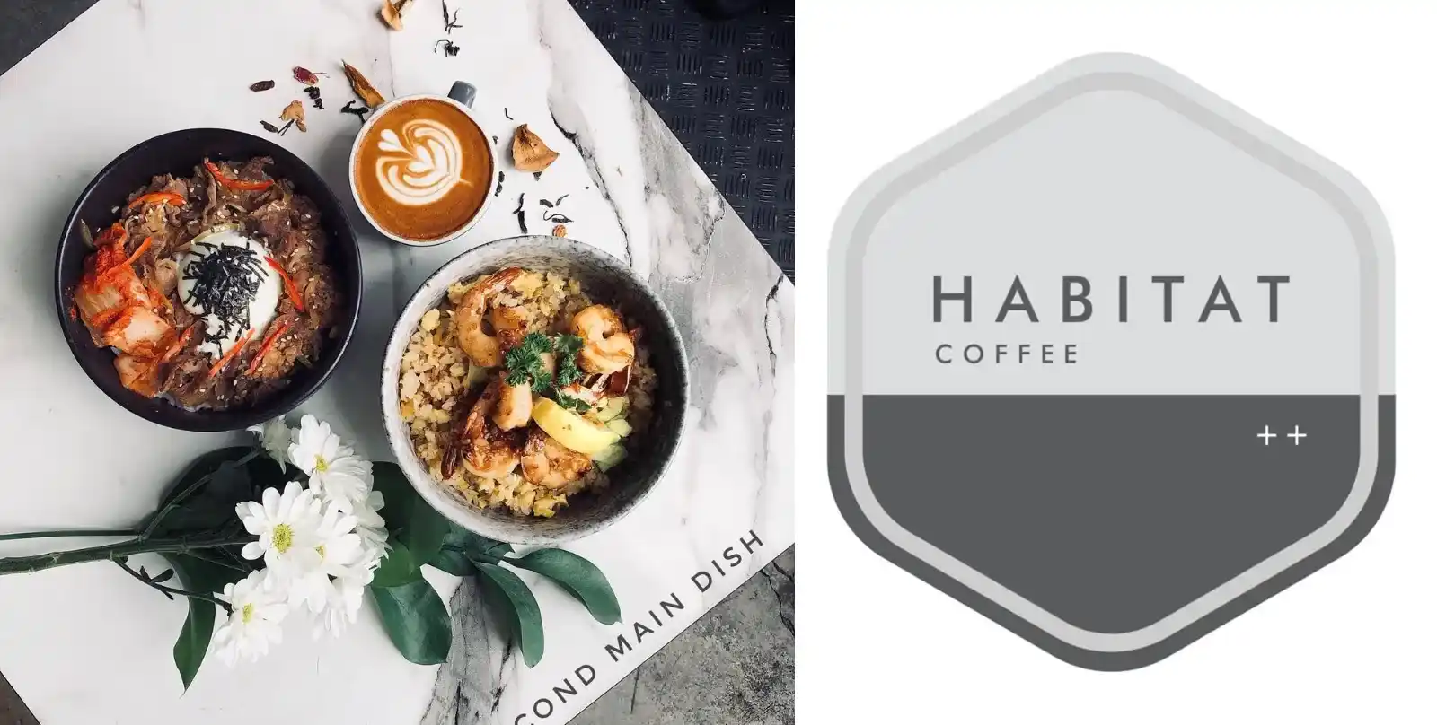 Ultimate Guide To Habitat Coffee Menu & Price Singapore 2024